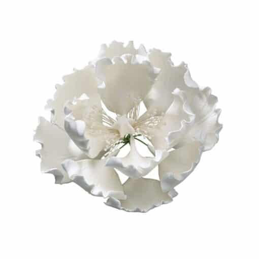 Gumpaste Peony - 101mm - 3 Colours - Image 4