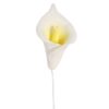Gum Paste Calla Lily - Pack of 50