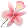 Pink Orchid - 100mm