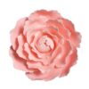 Gumpaste Peony - 101mm - 3 Colours