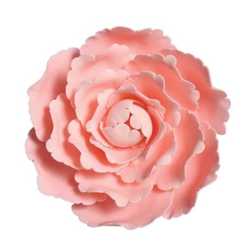 Gumpaste Peony - 101mm - 3 Colours