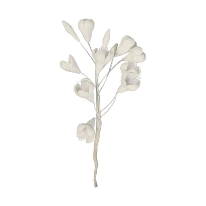Variation picture for White Variation picture for White