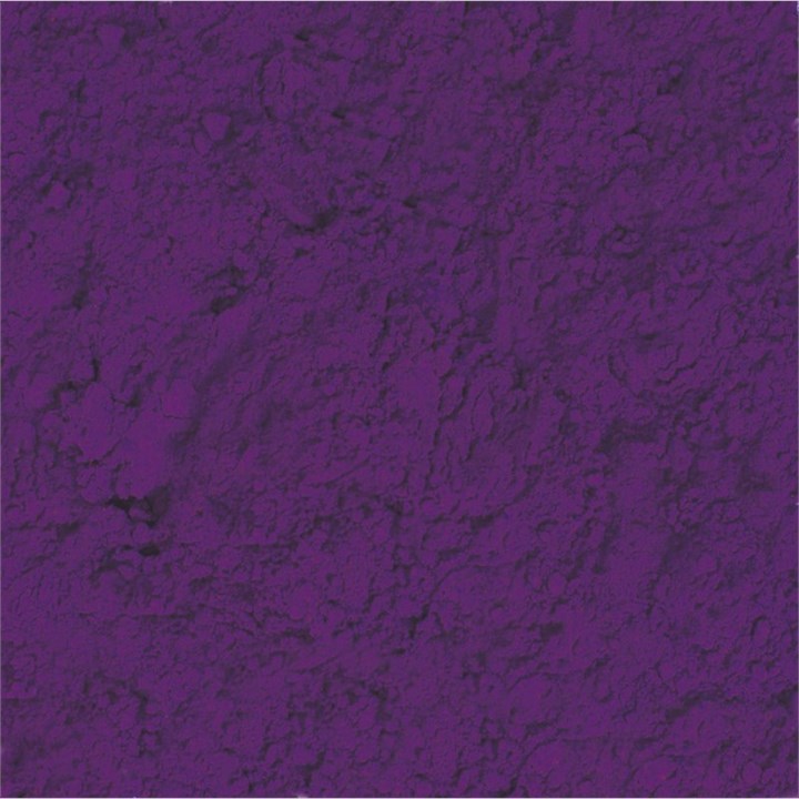 Variation picture for African Violet Variation picture for African Violet