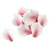 Pink Tipped Sugar Rose Petals - Pack of 50