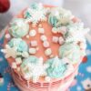 Cake Star Christmas Plunger Cutters - 4 Designs